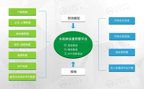 打造互聯(lián)網精準農業(yè)航空服務平臺的數(shù)據(jù)處理服務